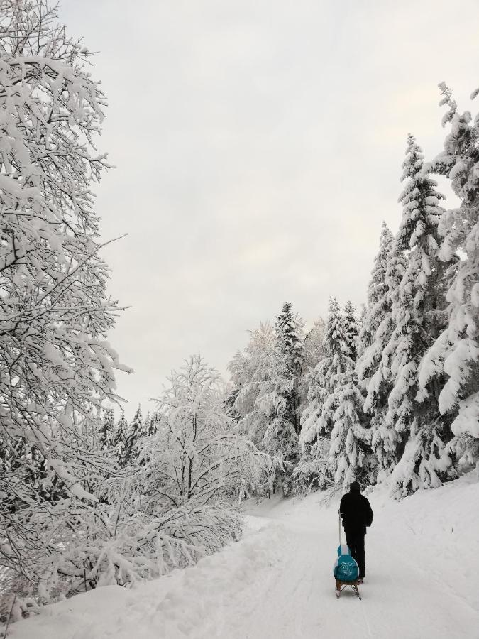 Domaine De Siane Villa Plaine Eksteriør billede