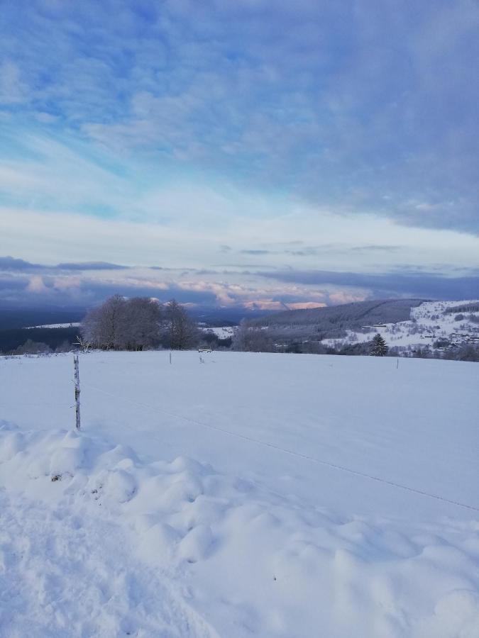Domaine De Siane Villa Plaine Eksteriør billede